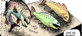 10.25.11color.Romney-flipflop