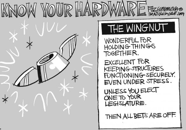 Wingnuts2