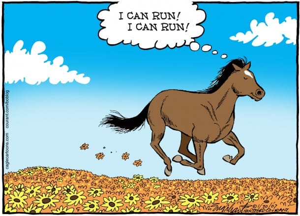 KentuckyDerby