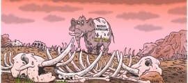 ModerateRepubs1