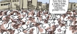 Crowded Classrooms