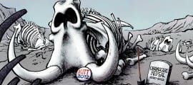 11.12.12C.ObamaCare