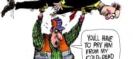 12.23.12C.NRA-Politicians