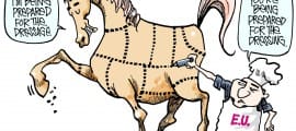 Horse Meat