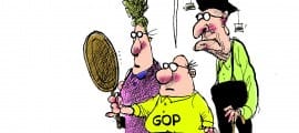 3.19.13C.GOPTroubles